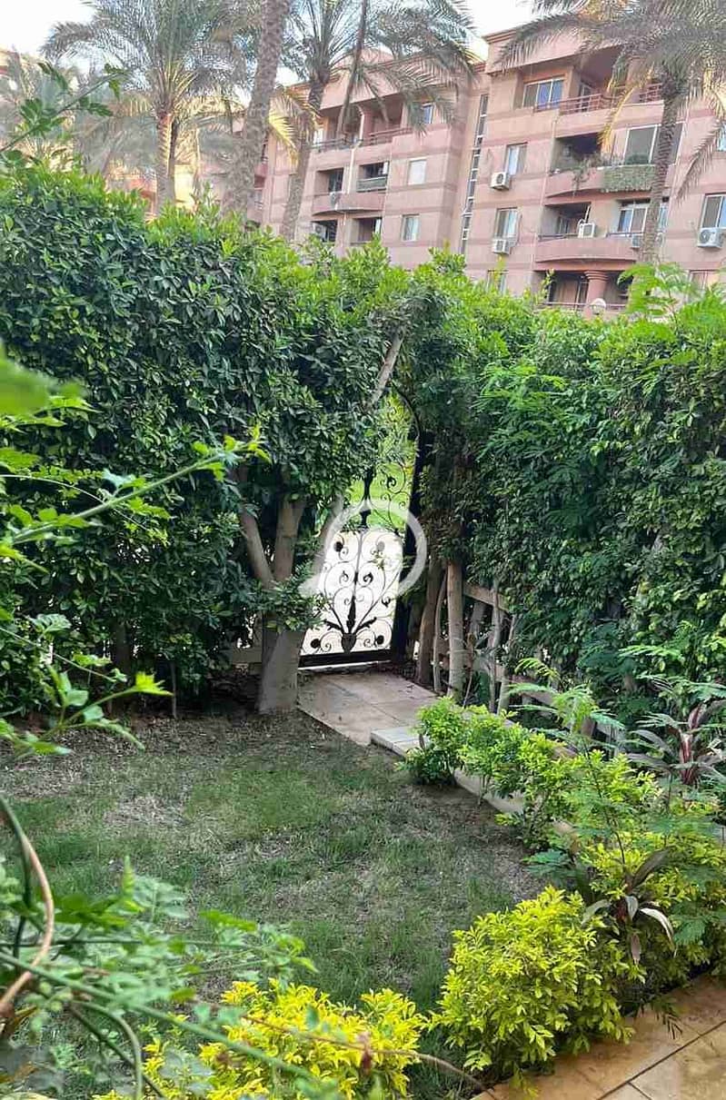 1000194258. jpg 1000194258. jpg