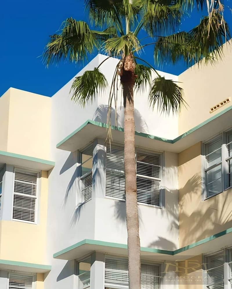 3 484074012_638160609133117_7455885436145423633_n. jpg