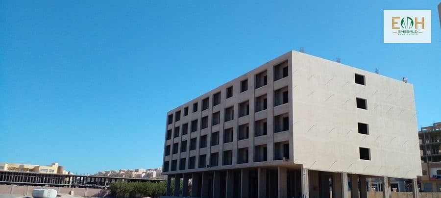 5 WhatsApp Image 2025-09-12 at 21.57. 34 (3). jpeg