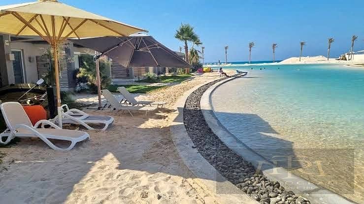 580908816_2857165354479486_5392940443968573581_n. jpg 580908816_2857165354479486_5392940443968573581_n. jpg