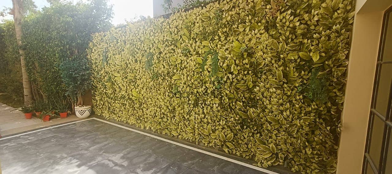 3 WhatsApp Image 2025-09-24 at 4.12. 30 PM. jpeg