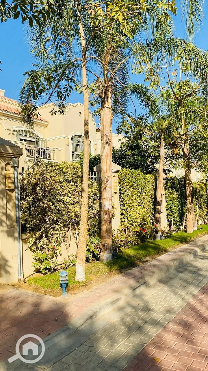 5 photo_2023-12-06_21-25-01. jpg