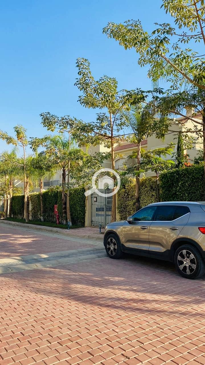 6 photo_2023-12-06_21-25-02. jpg