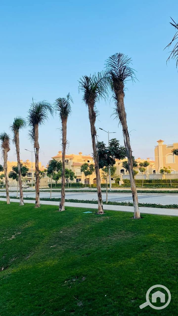 6 photo_2023-12-06_21-17-57. jpg