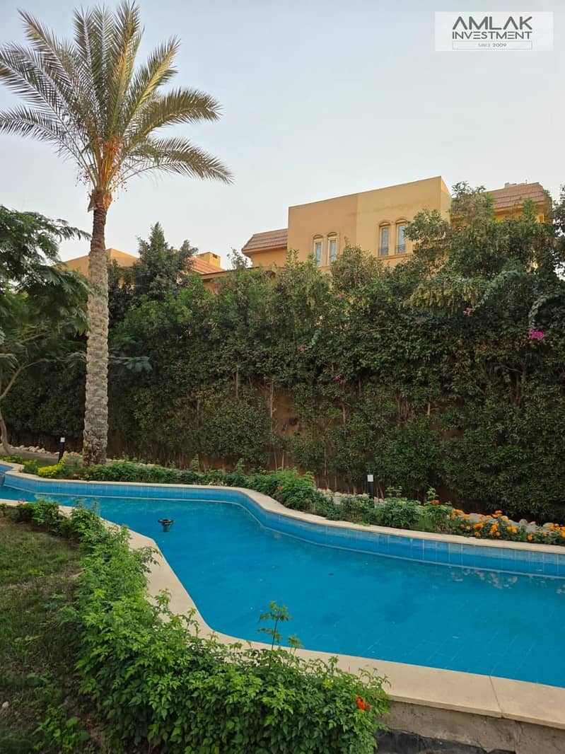 10 f151094d-b9d2-4568-91e1-dd4496cda646. jpeg