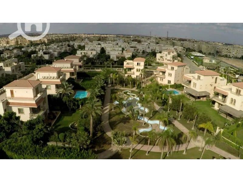 10 green-k1_1-webp_format. jpg