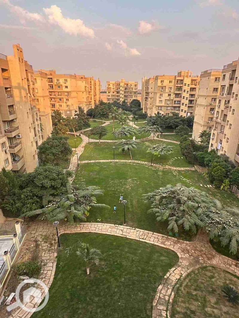 1000455391. jpg 1000455391. jpg