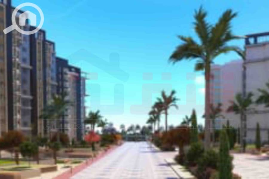 5 IMG-20251112-WA0031. jpg