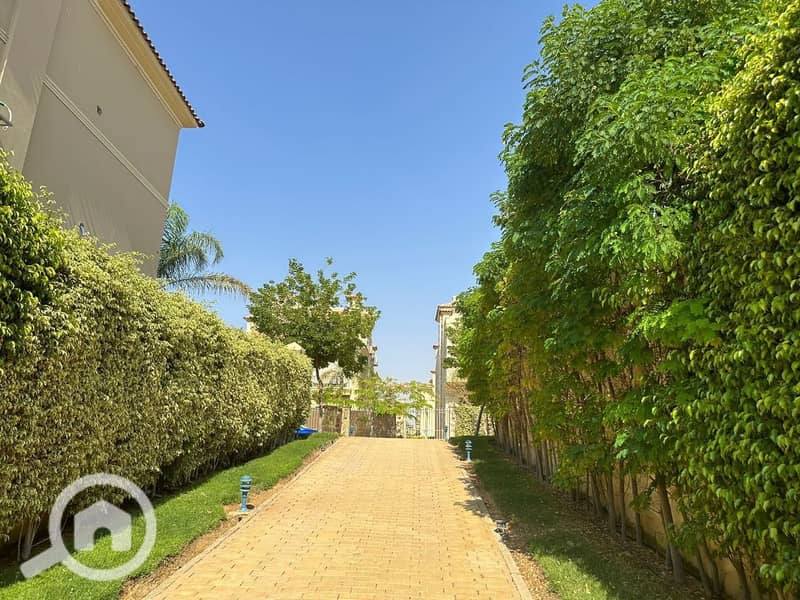 3 photo_2025-03-19_06-37-24. jpg