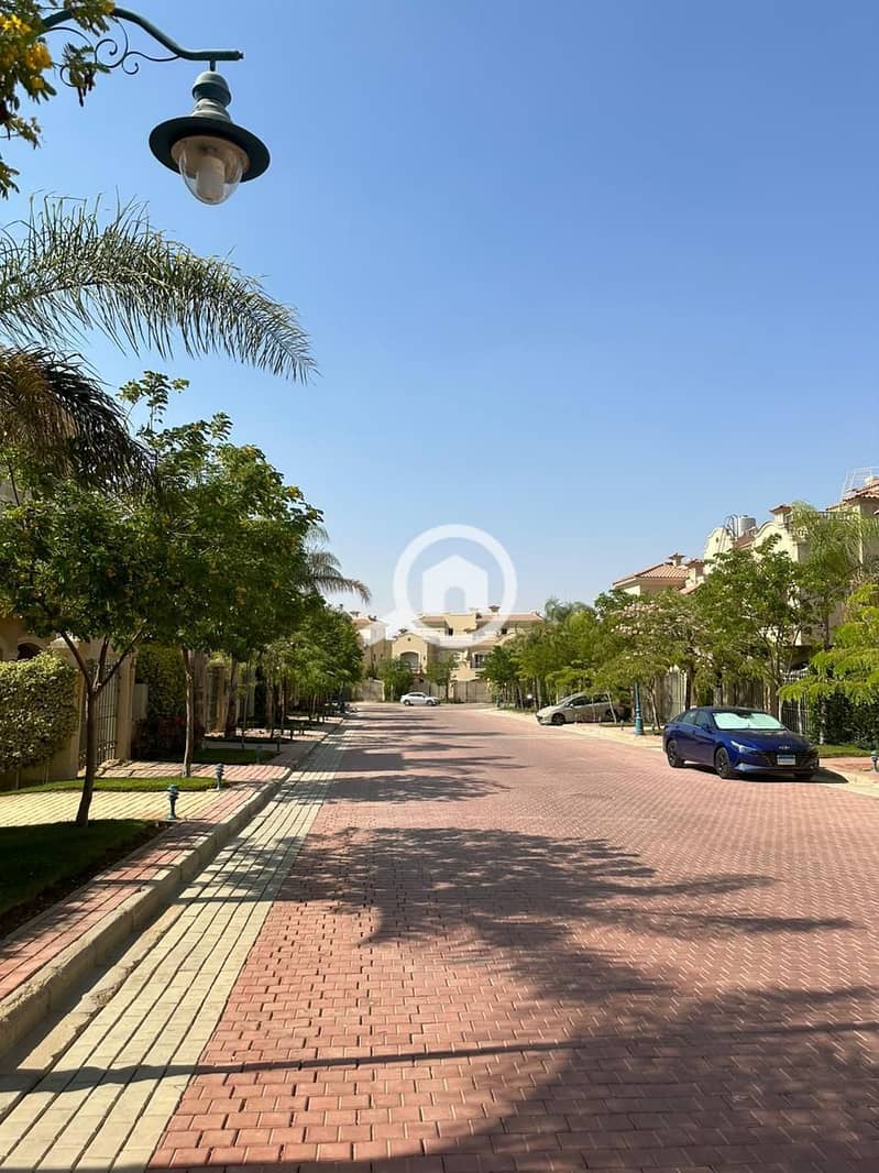 6 photo_2025-02-26_06-34-25. jpg