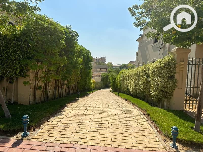 7 photo_2025-02-26_06-34-27. jpg