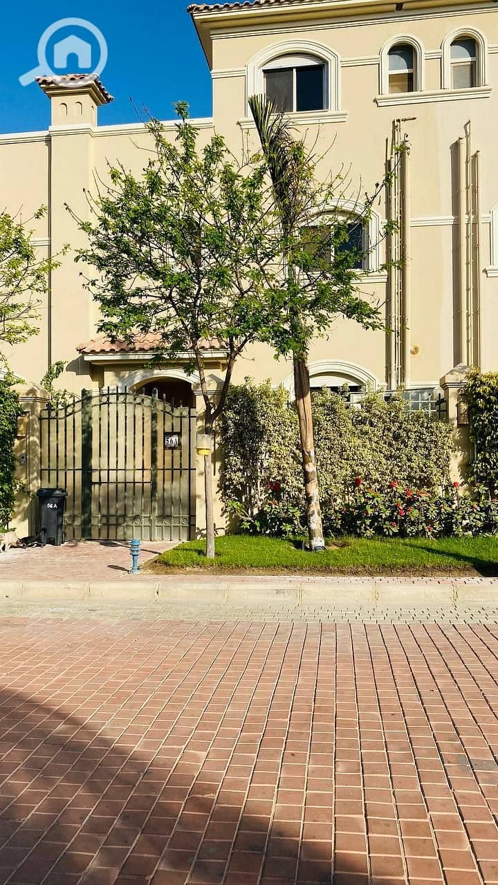 8 photo_2025-02-19_04-17-36. jpg