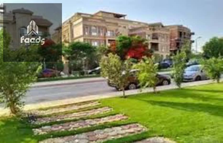 6 download - 2025-11-15T150612.903. jpg