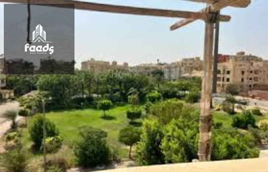 7 download - 2025-11-15T150612.931. jpg