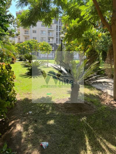 3 Bedroom Hotel Apartment for Sale in Madinaty, Cairo - 544924616_122139291116849776_3127280963893286032_n. jpg