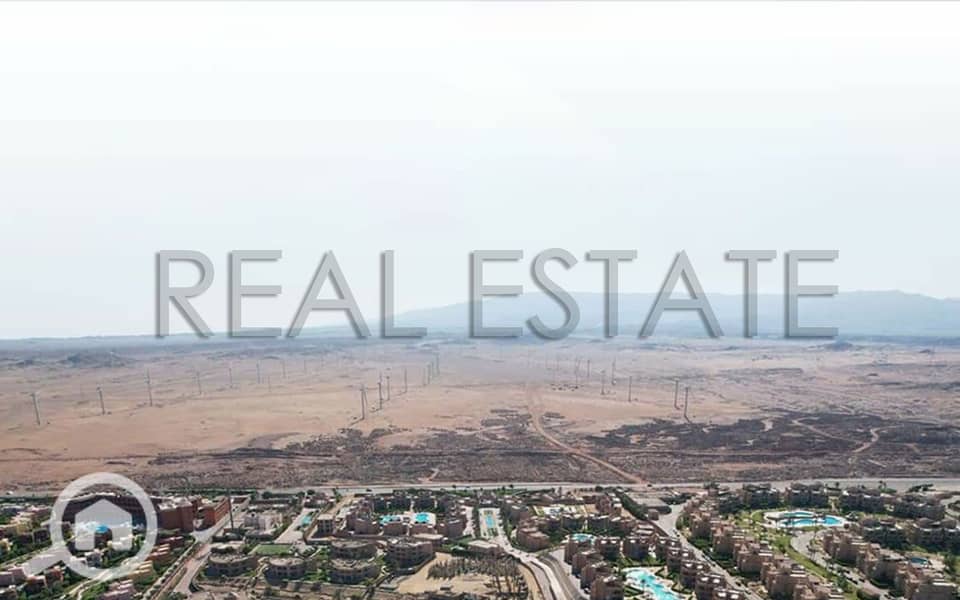 4 1711464772578. jpg