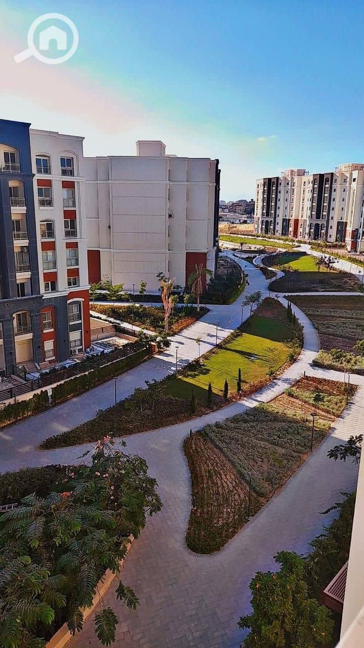 3 IMG-20251015-WA0036. jpg