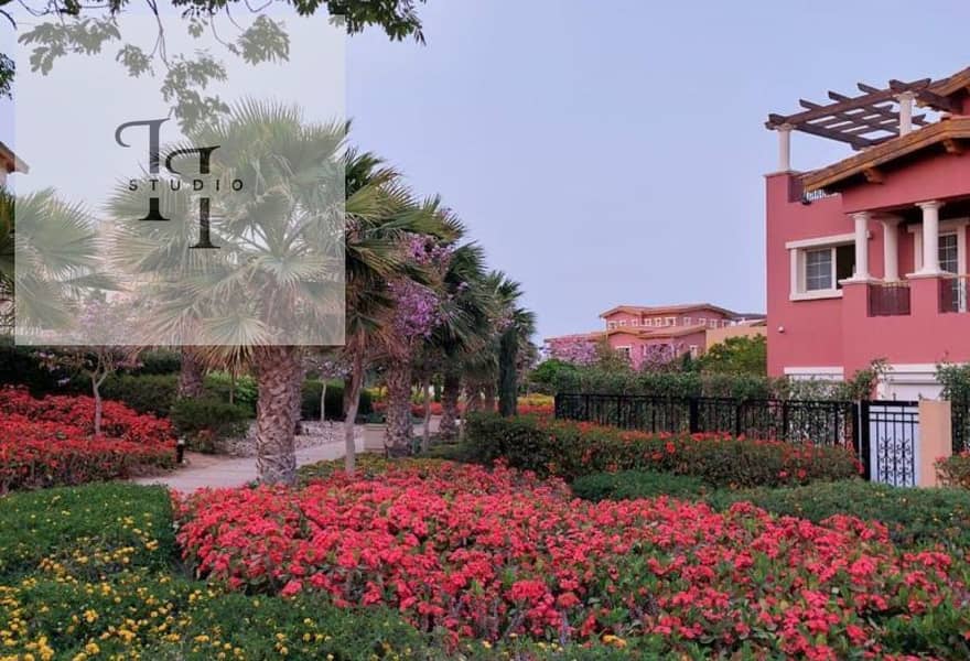 7 c7ec5ed4-5eee-4f58-8f6d-1e32a9f4a16c. jpg