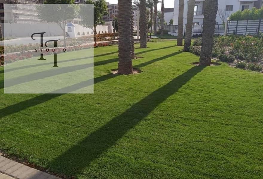 8 d8ee388d-ff0b-4aa3-bf19-49ac1fd130ae. jpg