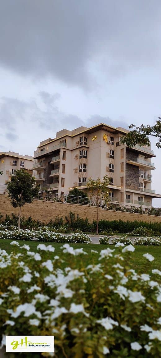 3 WhatsApp Image 2025-11-15 at 3.58. 35 PM. jpeg