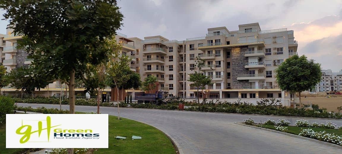 5 WhatsApp Image 2025-11-15 at 3.58. 36 PM. jpeg