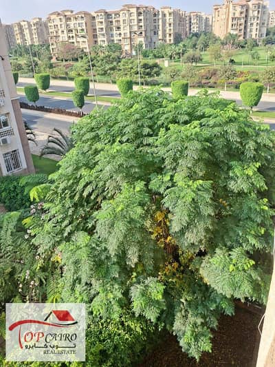 2 Bedroom Apartment for Sale in Madinaty, Cairo - WhatsApp Image 2025-11-15 at 1.10. 51 PM (4). jpeg