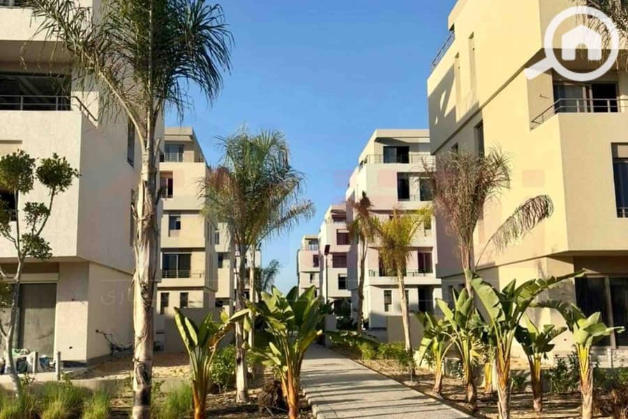 4 IMG-20251111-WA0039. jpg