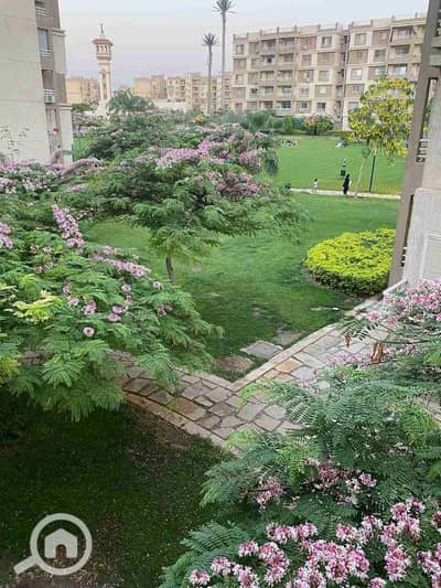2 Bedroom Flat for Sale in Madinaty, Cairo - 1000768365. jpg 2 Bedroom Flat for Sale in Madinaty, Cairo - 1000768365. jpg