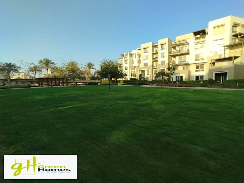 8 WhatsApp Image 2024-07-15 at 13.23. 35_b6fef2c4. jpg