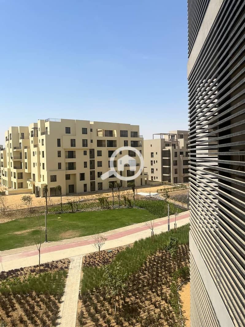 3 photo_2024-04-02_03-04-13. jpg