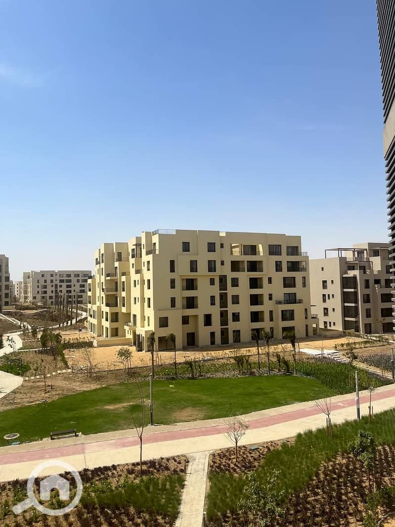 4 photo_2024-04-02_03-04-14. jpg