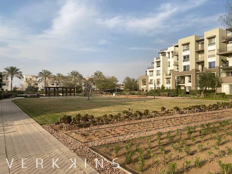 7 IMG-20230321-WA0025. jpg