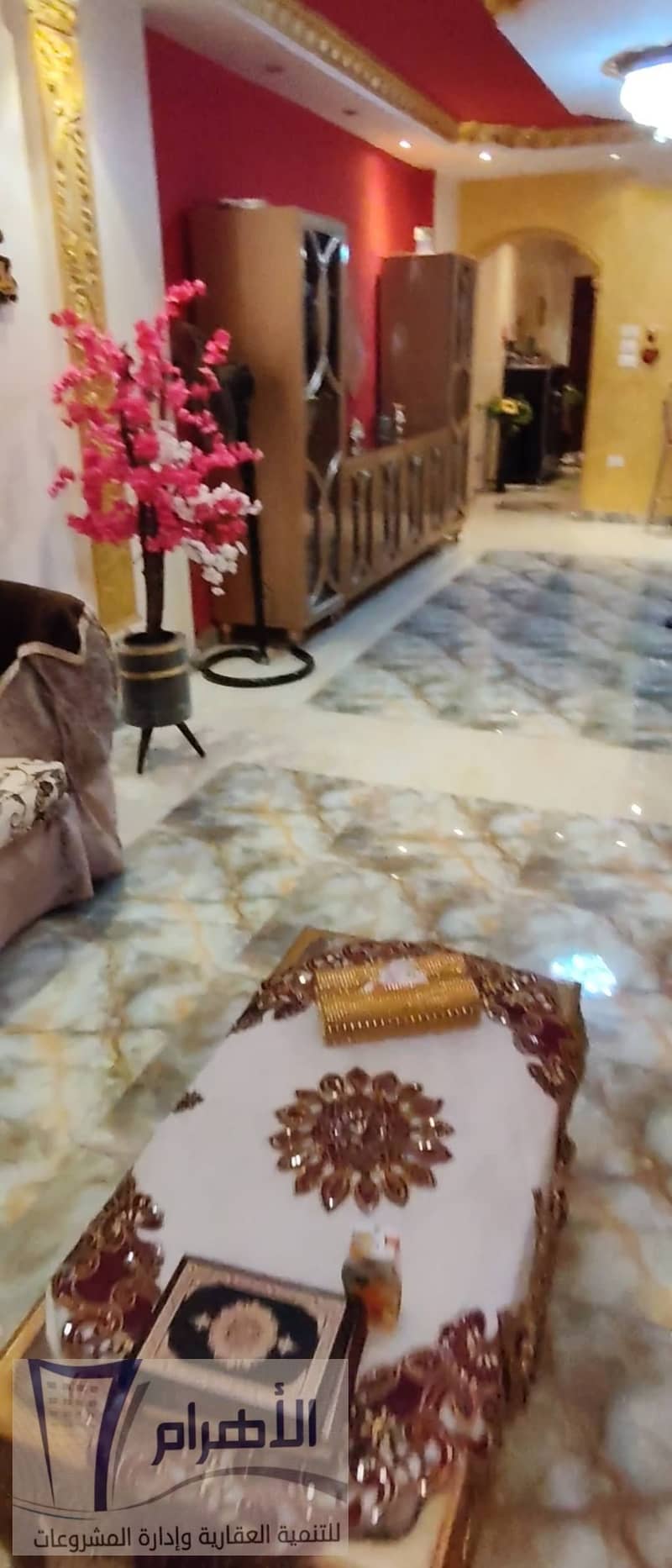 4 581086606_1142204241391109_2261052248194166508_n. jpg