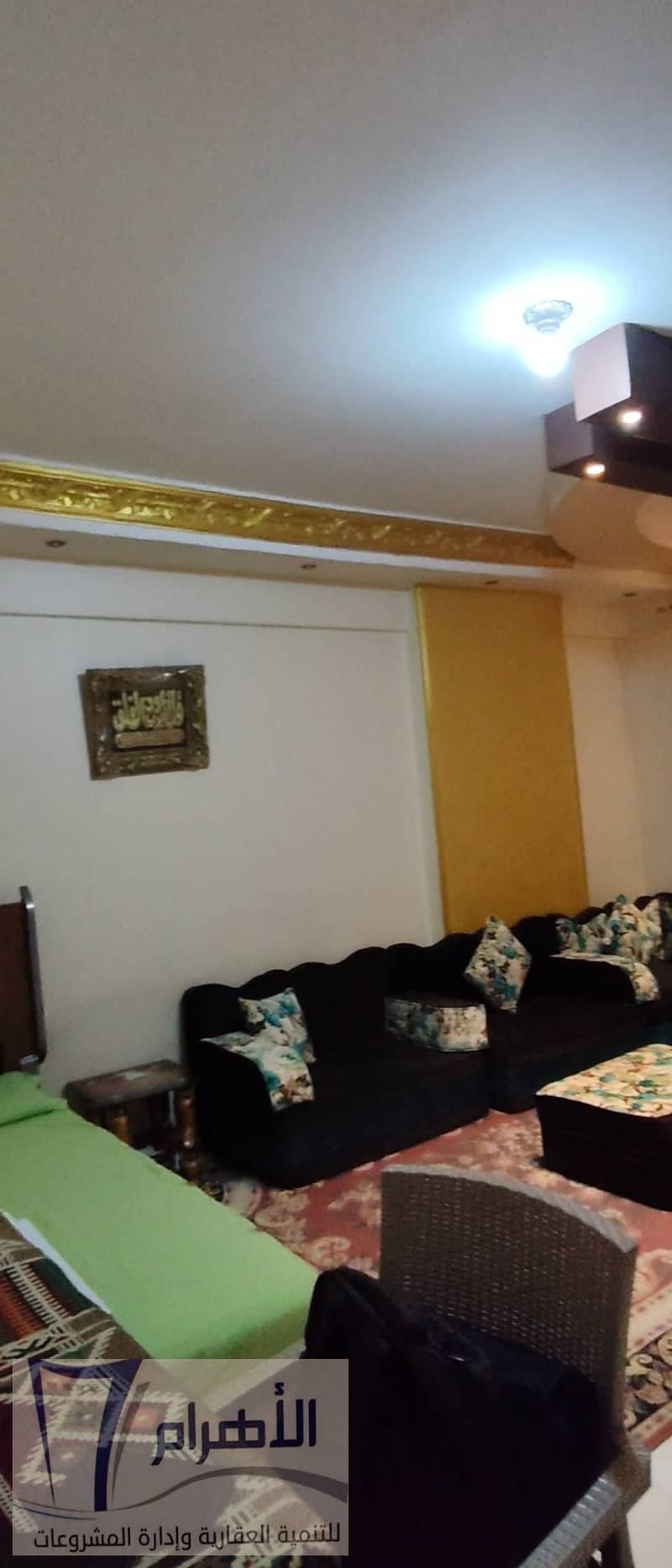 8 582477689_1142204384724428_4461879165644626781_n. jpg