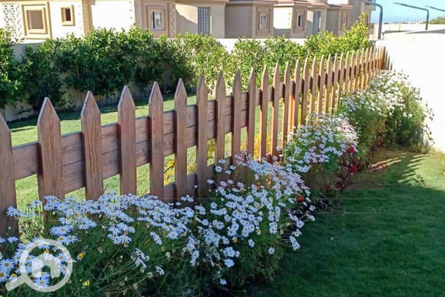 6 WhatsApp Image 2025-11-08 at 7.22. 17 PM (1). jpg