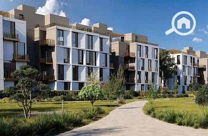 8 5161065-2ef91o. jpg