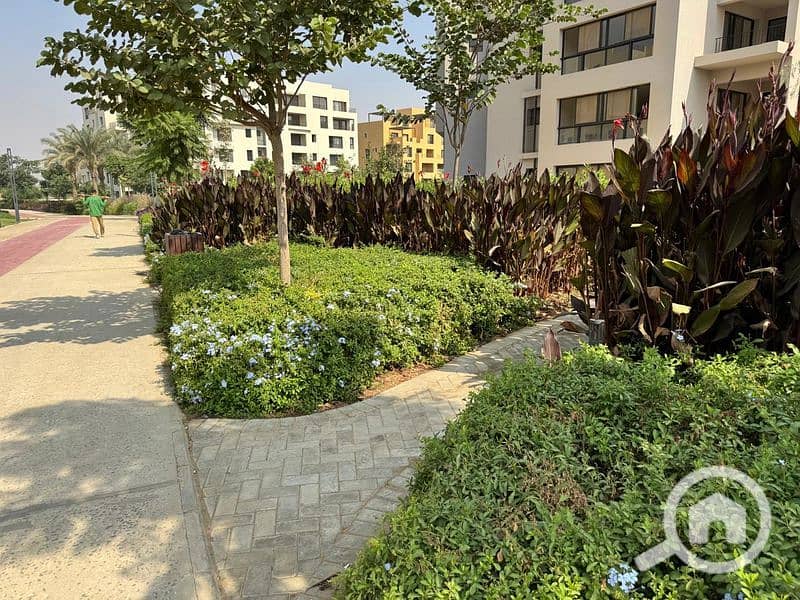 23 WhatsApp Image 2024-10-28 at 11.16. 07_31f626bb_800x600. jpg