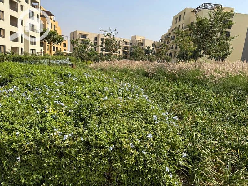 26 WhatsApp Image 2024-10-28 at 11.16. 09_8ade5558_800x600. jpg