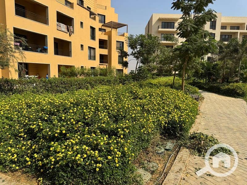 27 WhatsApp Image 2024-10-28 at 11.16. 10_8fa7bb6a_800x600. jpg