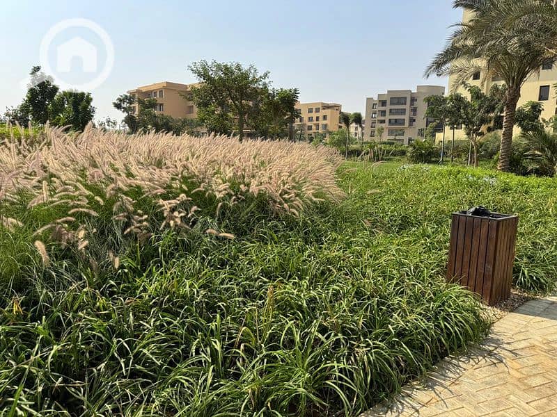 29 WhatsApp Image 2024-10-28 at 11.16. 12_57ac8b85 - Copy_800x600. jpg