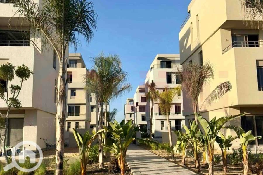 4 IMG-20251111-WA0039. jpg