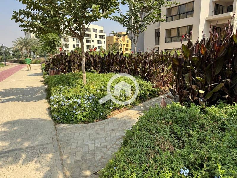 20 WhatsApp Image 2024-10-28 at 11.16. 07_31f626bb_800x600. jpg