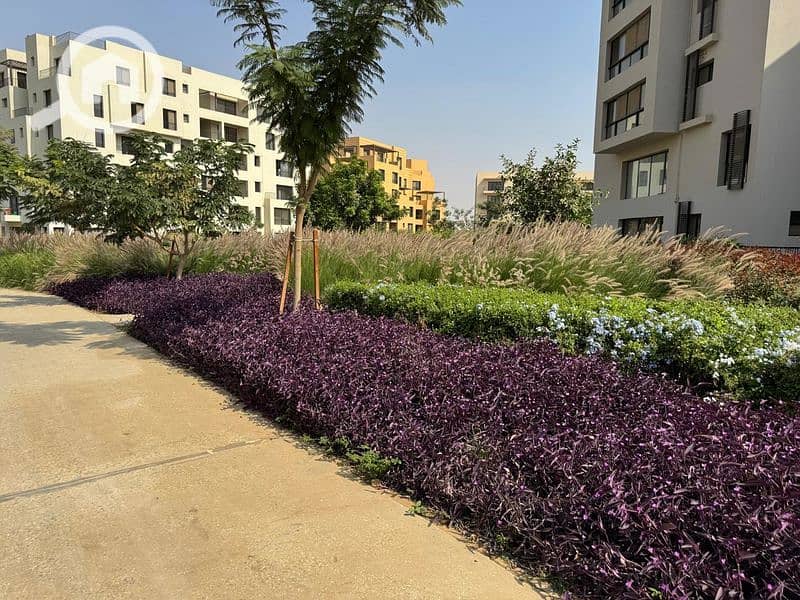 21 WhatsApp Image 2024-10-28 at 11.16. 08_ab53976d_800x600. jpg