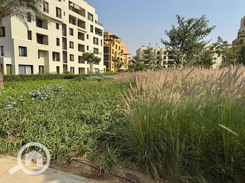 22 WhatsApp Image 2024-10-28 at 11.16. 08_d657dc4f_800x600. jpg