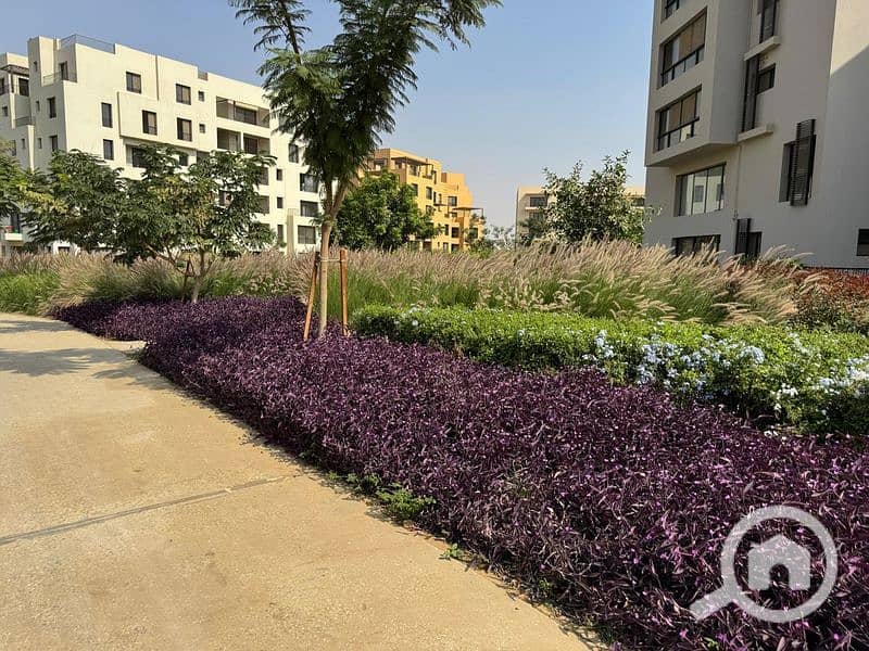 54 WhatsApp Image 2024-10-28 at 11.16. 08_ab53976d_800x600. jpg