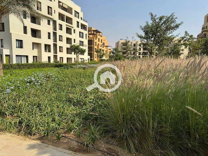 55 WhatsApp Image 2024-10-28 at 11.16. 08_d657dc4f_800x600. jpg