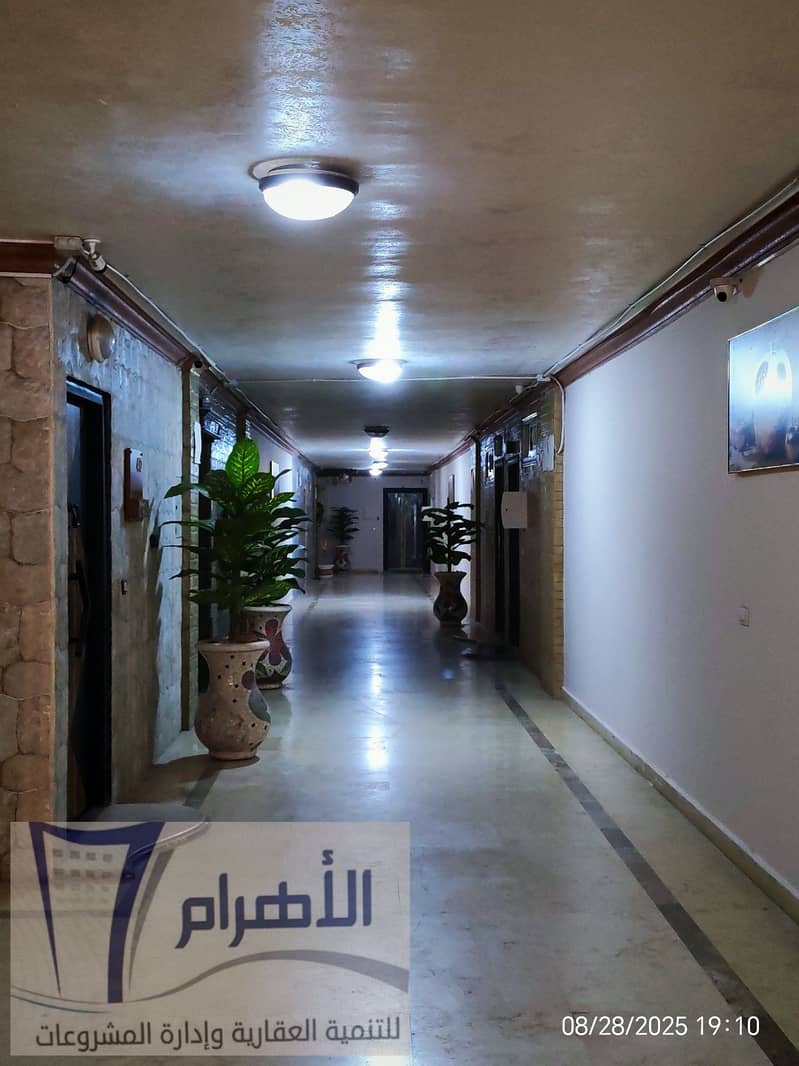 7 540501608_1078207057790828_2261874784450568969_n. jpg