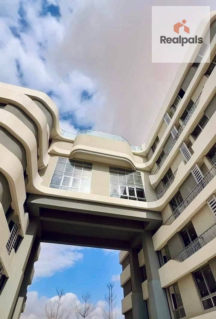 2 WhatsApp Image 2025-08-23 at 16.38. 24_7a6badcc. jpg