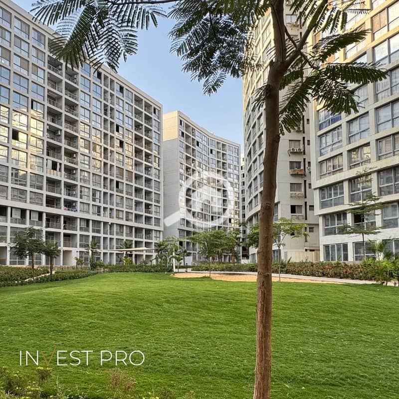 15 وان قطاميه                                            1. jpg