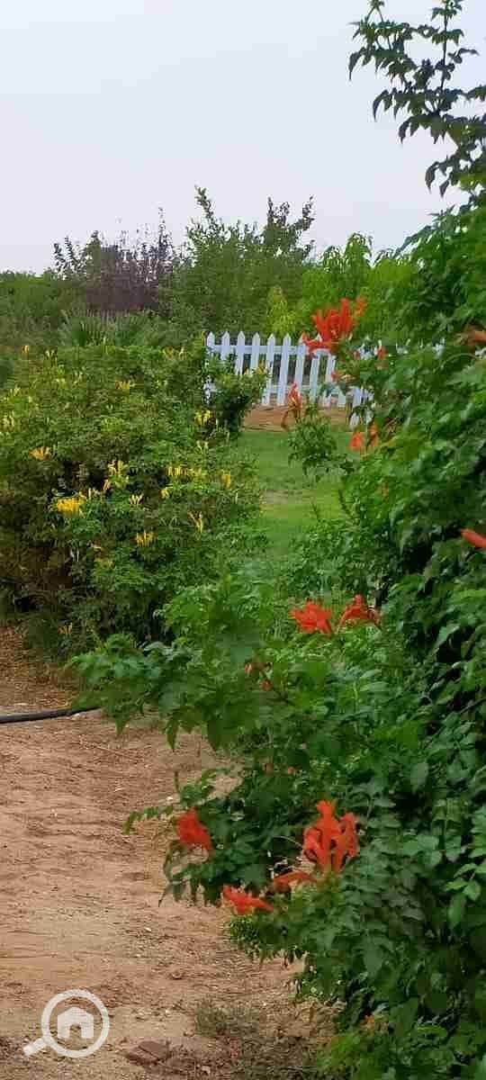 3 IMG-20240111-WA0022. jpg